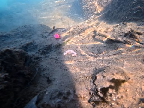 Delphin Olověná zátěž CyberBarbed Tube