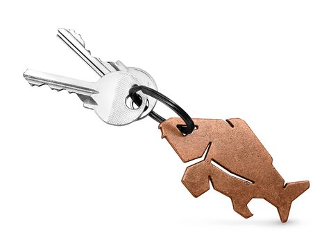 Delphin Kľúčenka s otvárkom na fľaše Carpener bronzová