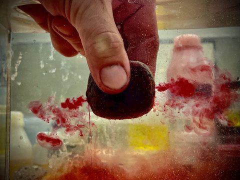 LK Baits Nutrigo Extra Predator