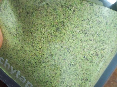 Chyť a pusť Method mix 1kg