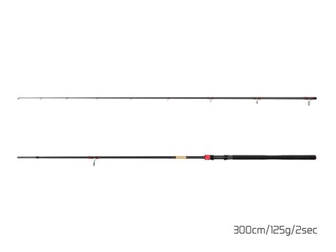 Delphin Prút Murena Power 300cm 125g 2 diel