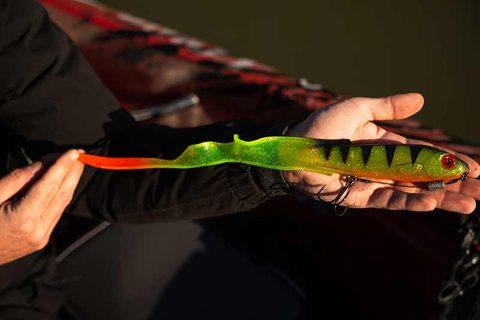 Fox Rage Gumová Nástraha Slick Eel Loaded UV Perch