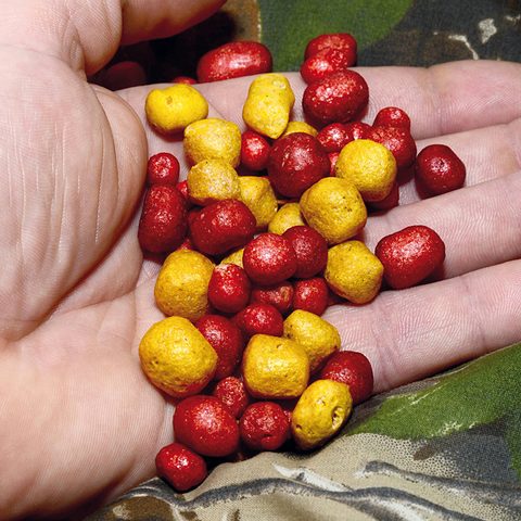 CHYTIL Pufovaný chleba