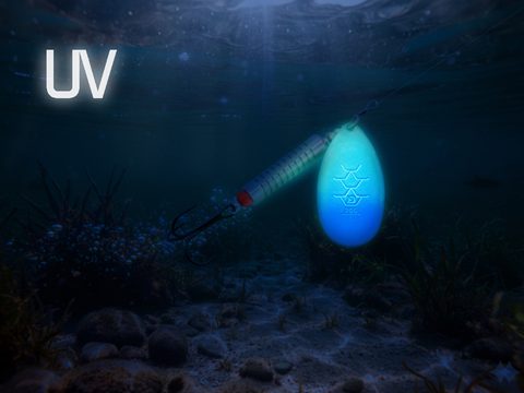 Delphin Třpytka Arch LoliDot