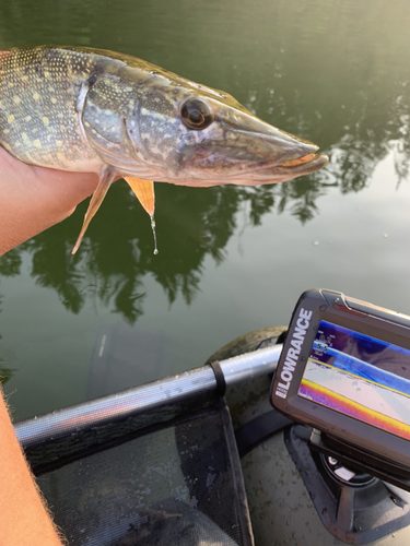 Muškaření z boatu (fly fishing from a belly boat ) 