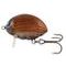 Salmo Wobler Lil' Bug Floating 3cm