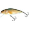 Salmo Wobler Perch Floating 8cm