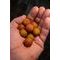 Chytil Master Carp Boilies 20 mm 250 g