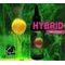 LK Baits Hybrid Activ 100ml - | Black Protein