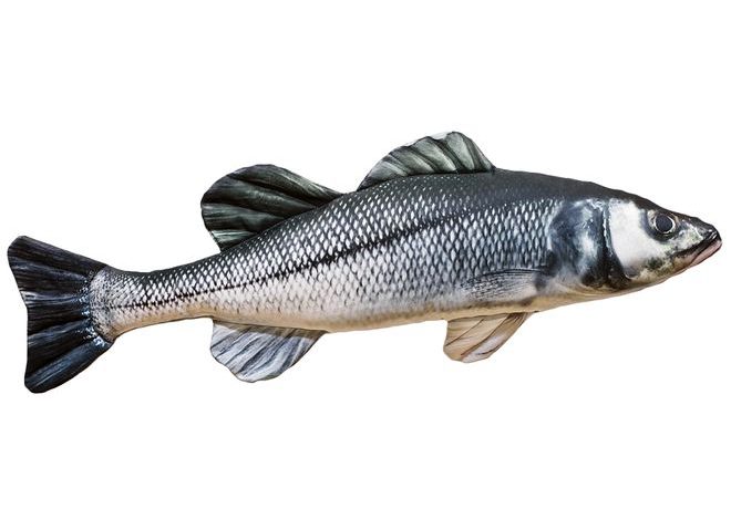 Gaby Polštář Sea Bass (Mořský vlk) 70 cm