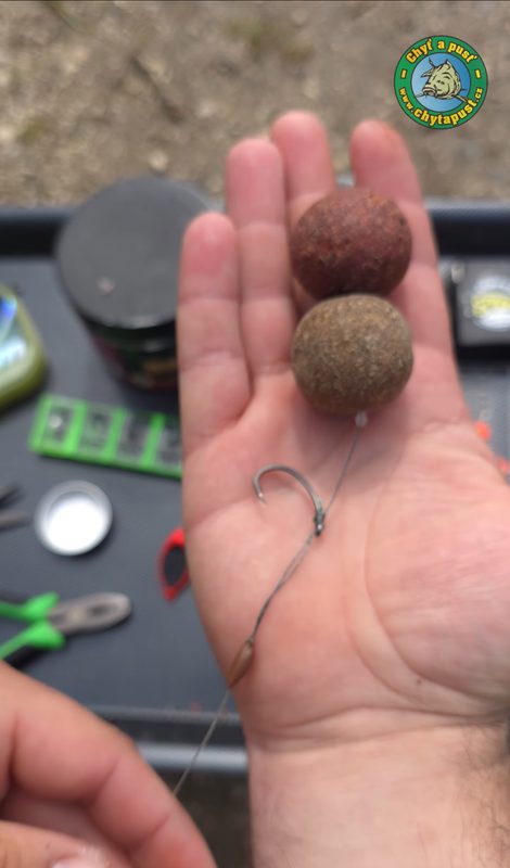 Úspěšný kombinovaný návazec z IBCC