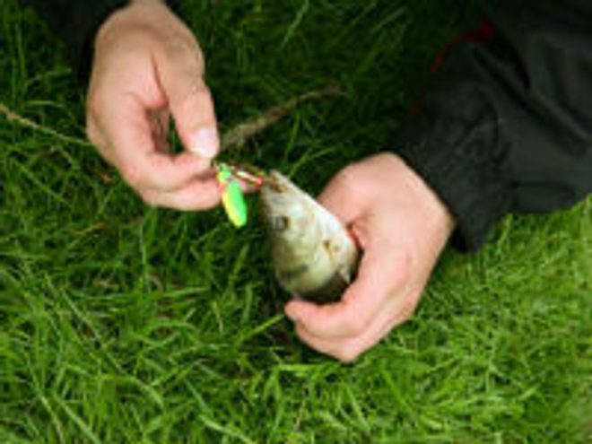 5 kroků, jak se připravit na úspěšný jarní rybolov