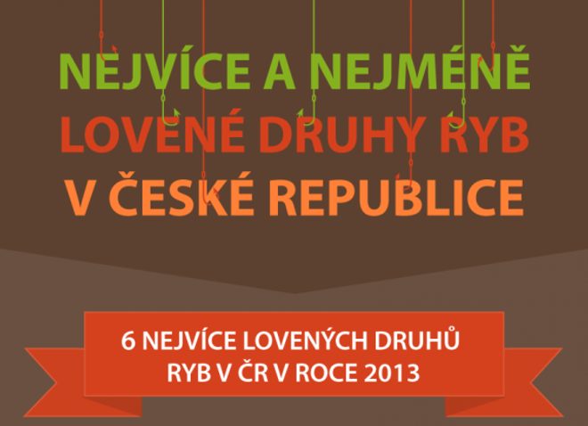 Najviac a najmenej lovené druhy rýb v Českej republike