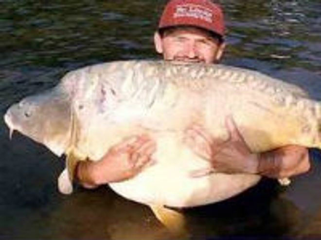 Rekordní úlovky kaprů 30 plus: Rumunské jezero Sarulesti (Raduta)