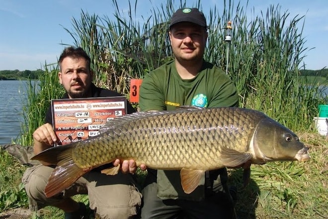 Závody v Maďarsku Imperial Baits - Václav Porada