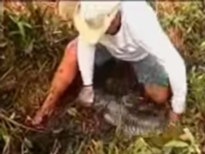 Na dírky v tropech? Proč ne?