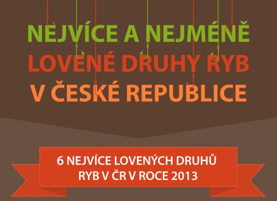 Nejvíce a nejméně lovené druhy ryb v České republice