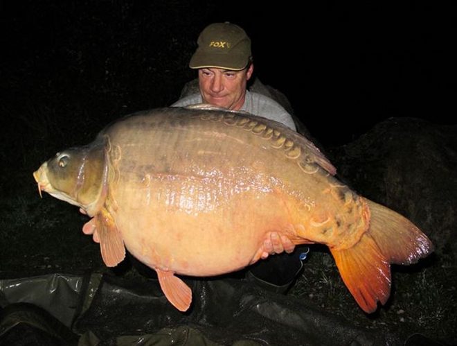 Nej kapři: Další z belgických obrů