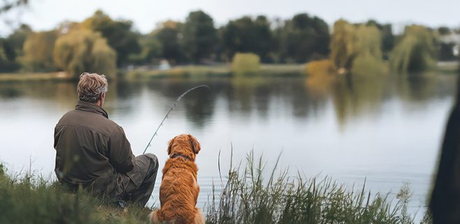 Pre domácich miláčikov