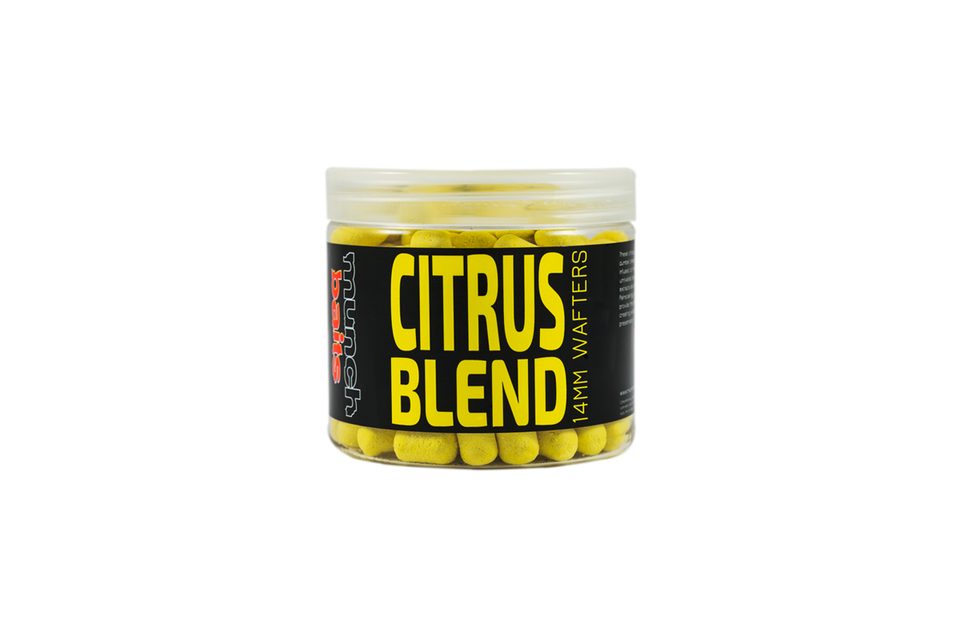 Munch Baits Boilie Visual Range Wafters Citrus Blend 100g