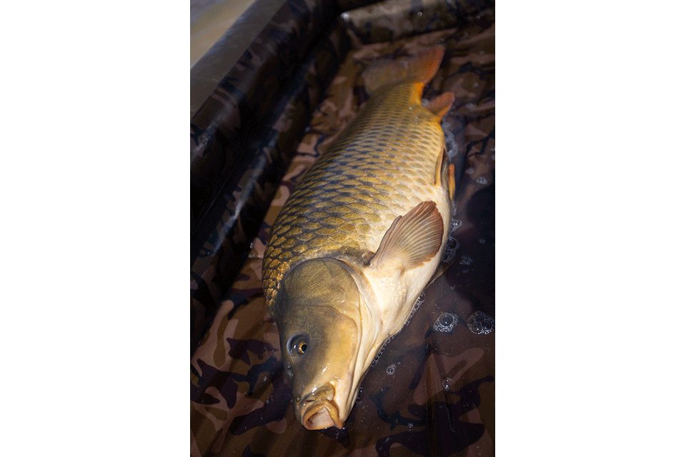 Fox Podložka Carpmaster Air Mat