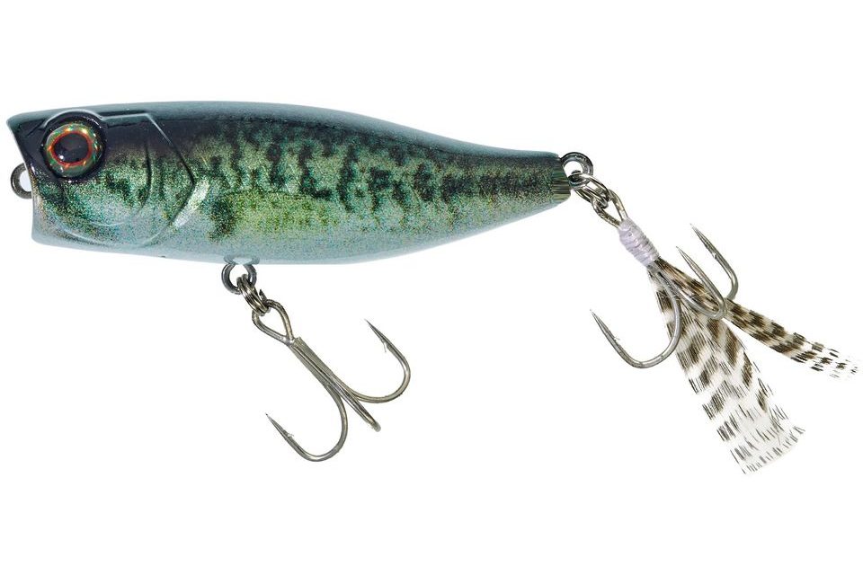 Illex Wobler Chubby Popper RT Biwako Bass