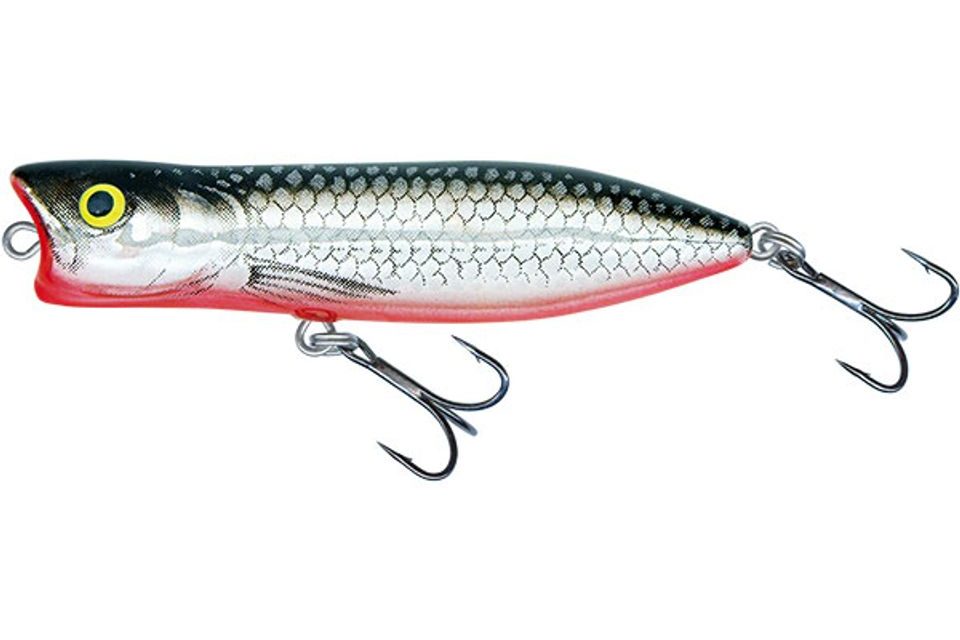 Salmo Wobler Rover Floating 7cm