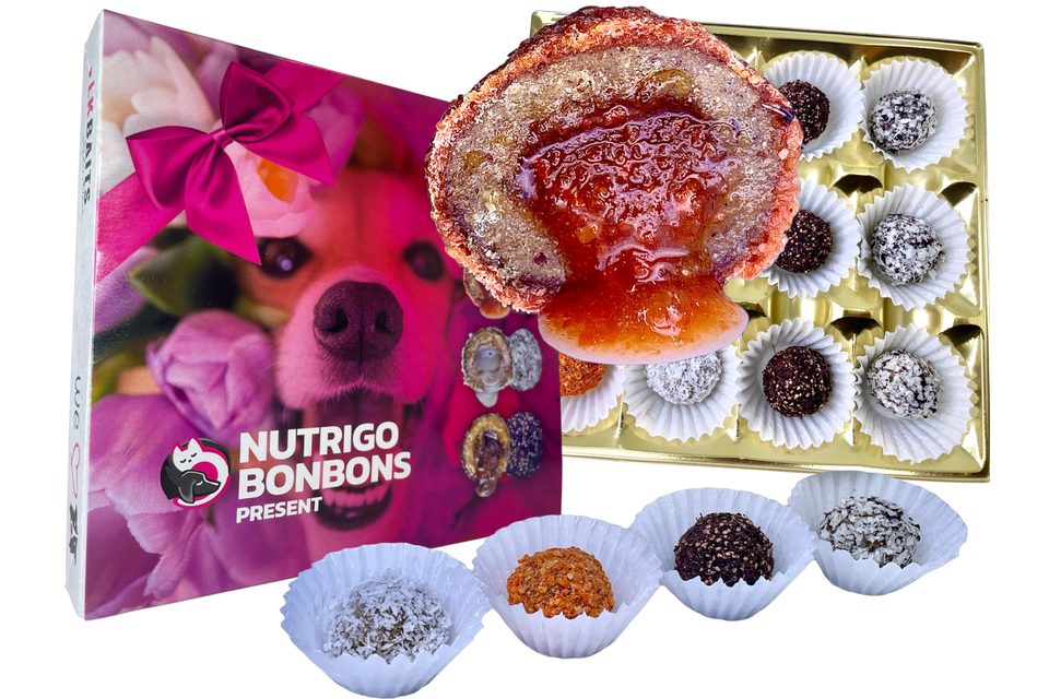 LK Baits Pet Sviatočná bonboniéra Nutrigo Bonbons Present Small pre menšie psy
