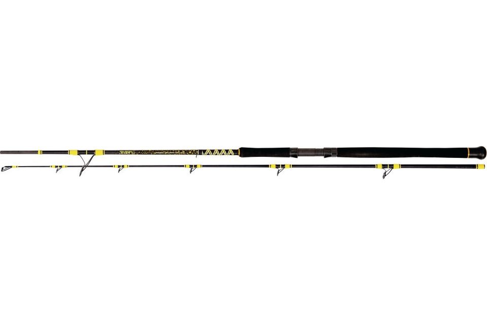 Black Cat Prut Passion Pro DX Boat Spin 2,4m 190g