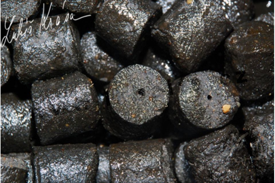 LK Baits Salt Black Hallibut Pellets 10kg
