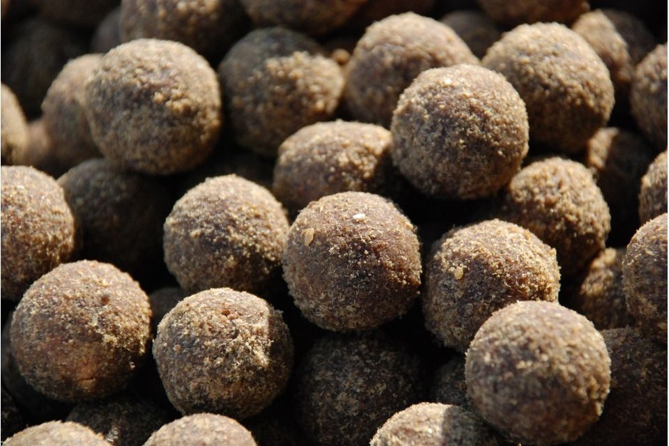 LK Baits Boilie Fish Activ 20mm 250ml