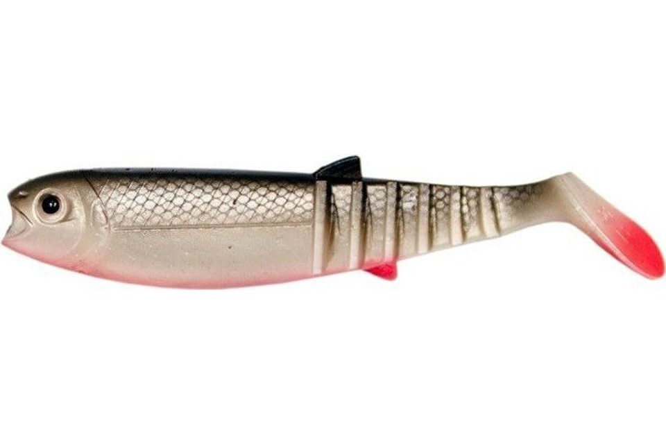 Savage Gear Gumová nástraha Cannibal Shad bulk Classic Roach