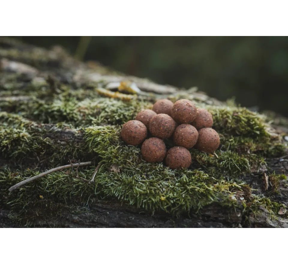 DK Fishing Boilies Power Attract 5kg