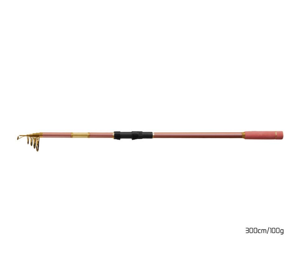 Delphin Prut Queen Tele 300cm 100g