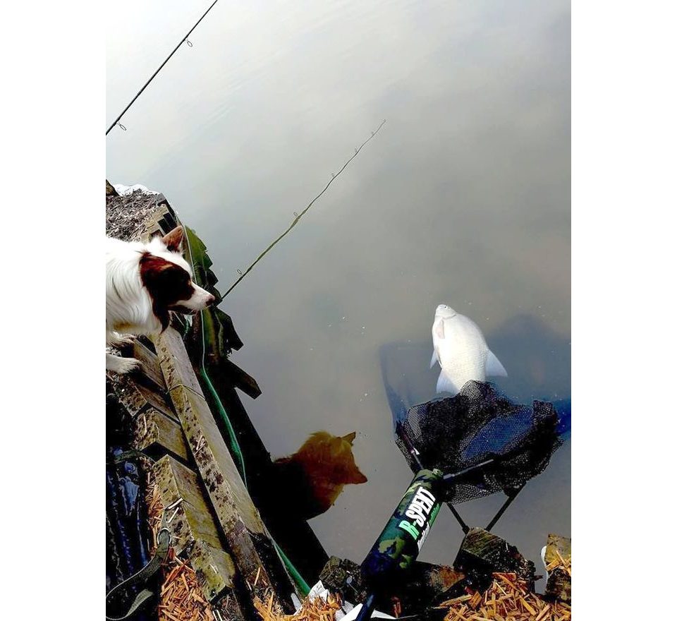 R-Spekt Plávač na podberák MAXI camou