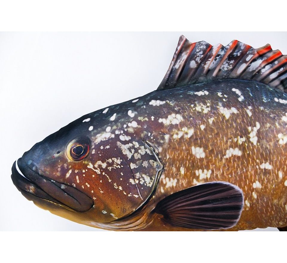 Gaby Polštář Kanic vroubený 100cm