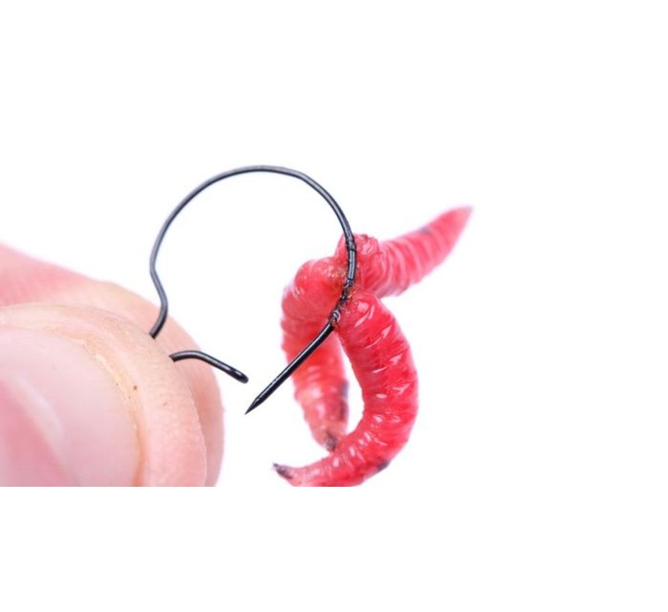 Nash Klip na červy Maggot Clips Small 10ks