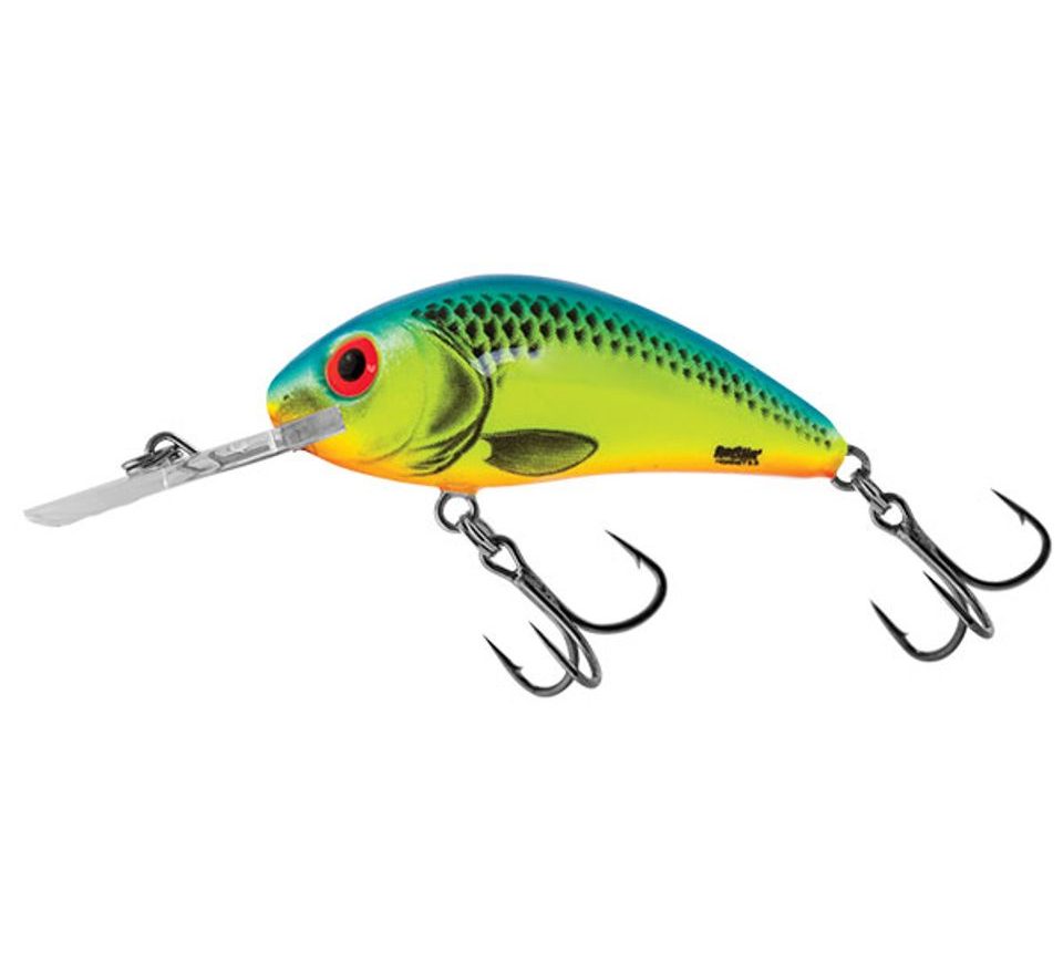 SALMO Hornet Potápivý 2,5cm Hot Perch od 188 Kč - Heureka.cz