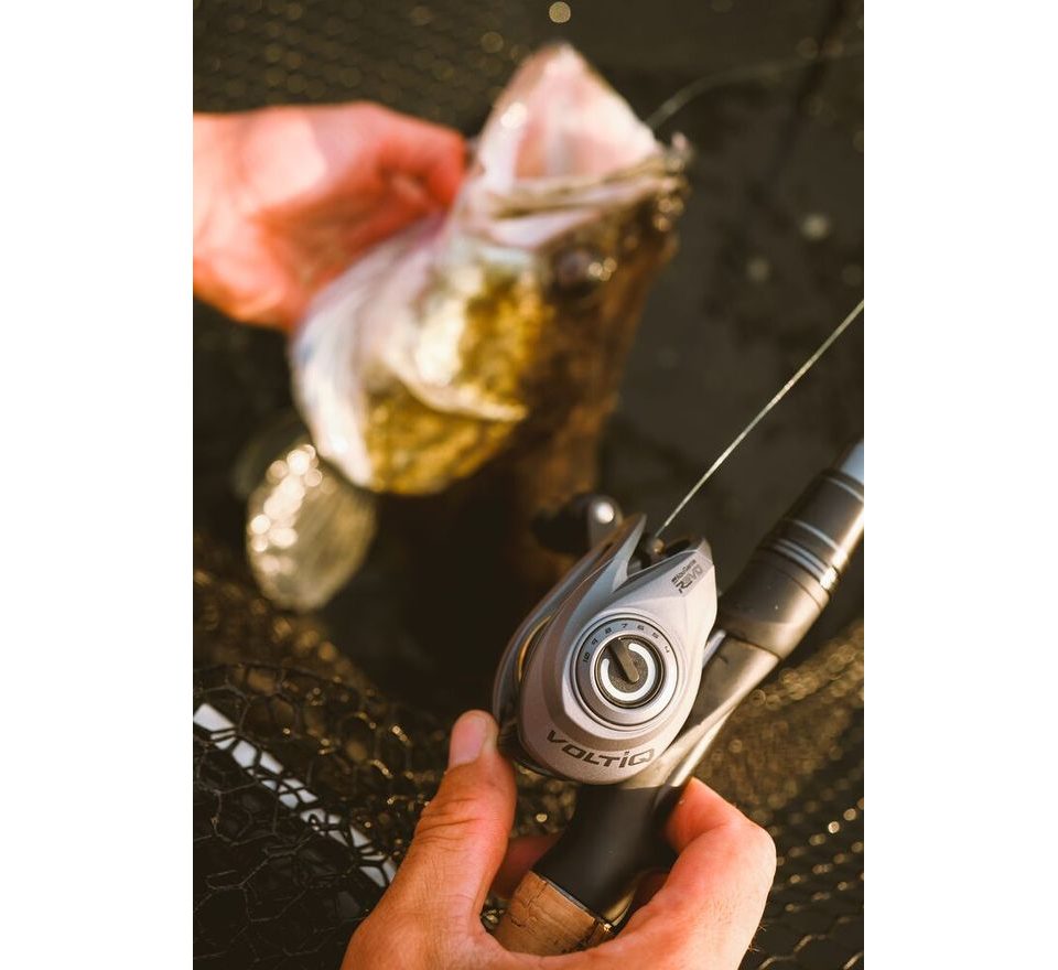 Abu Garcia Naviják Revo 5 X VoltiQ Low Profile VIQ