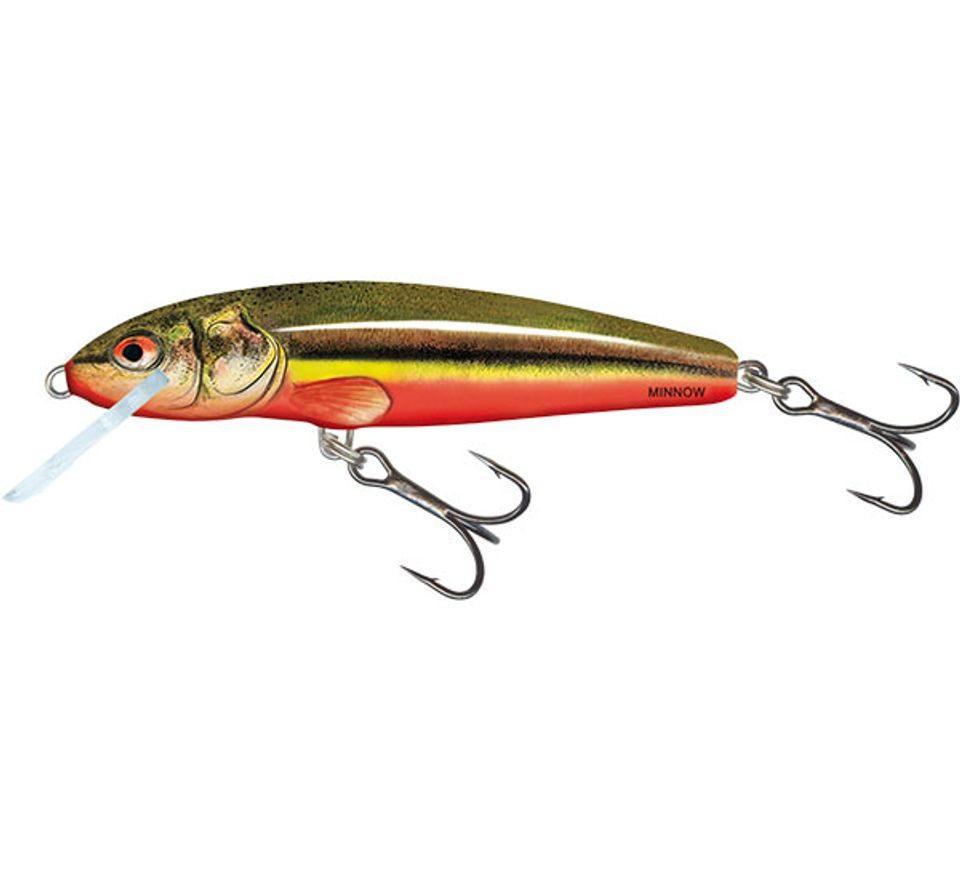 Salmo Wobler Minnow Floating 5cm