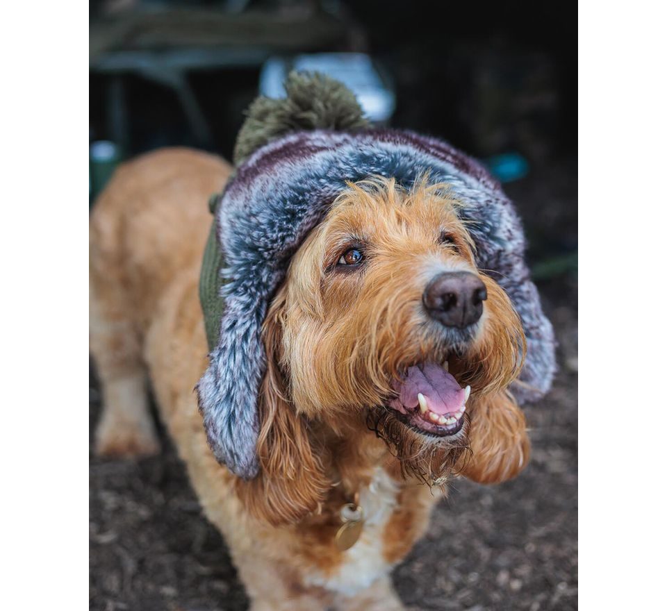 Fox Beranice Trapper Hat