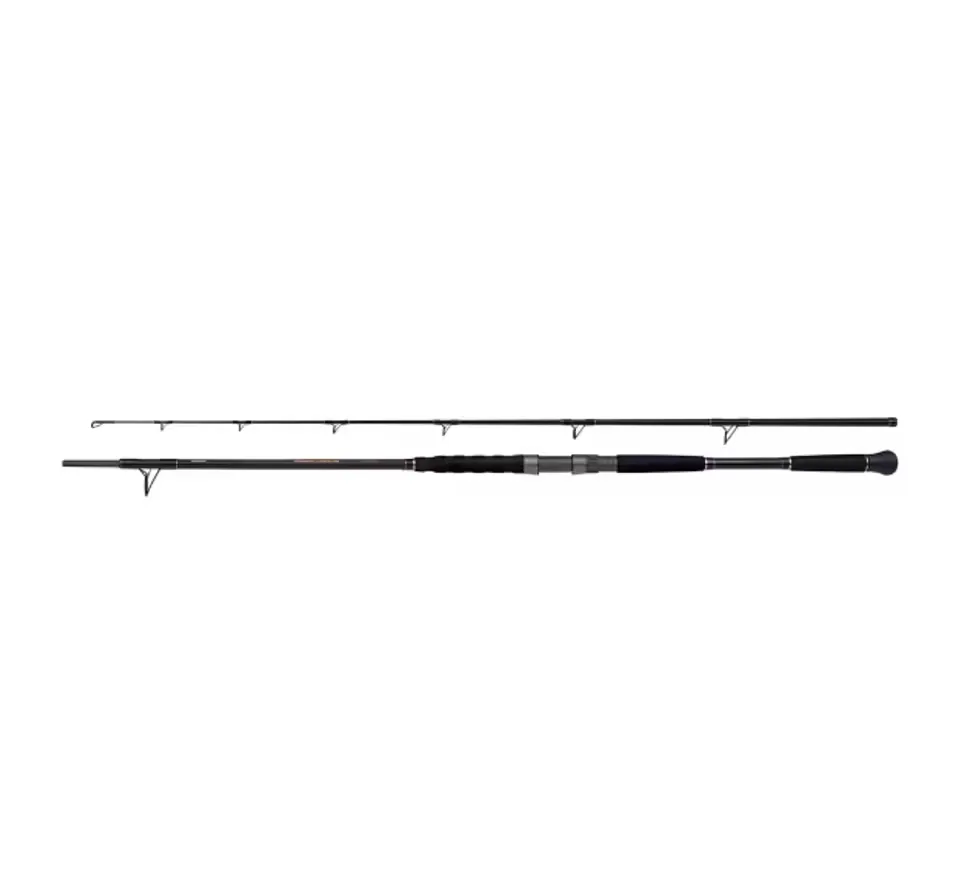 Shimano Prut Beastmaster AX Catfish Spinning Shimano Lure 2,20m 120g
