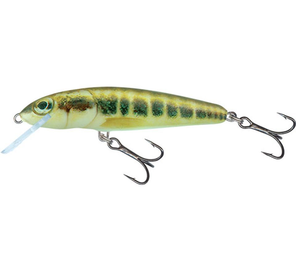 Salmo Wobler Minnow Floating 5cm