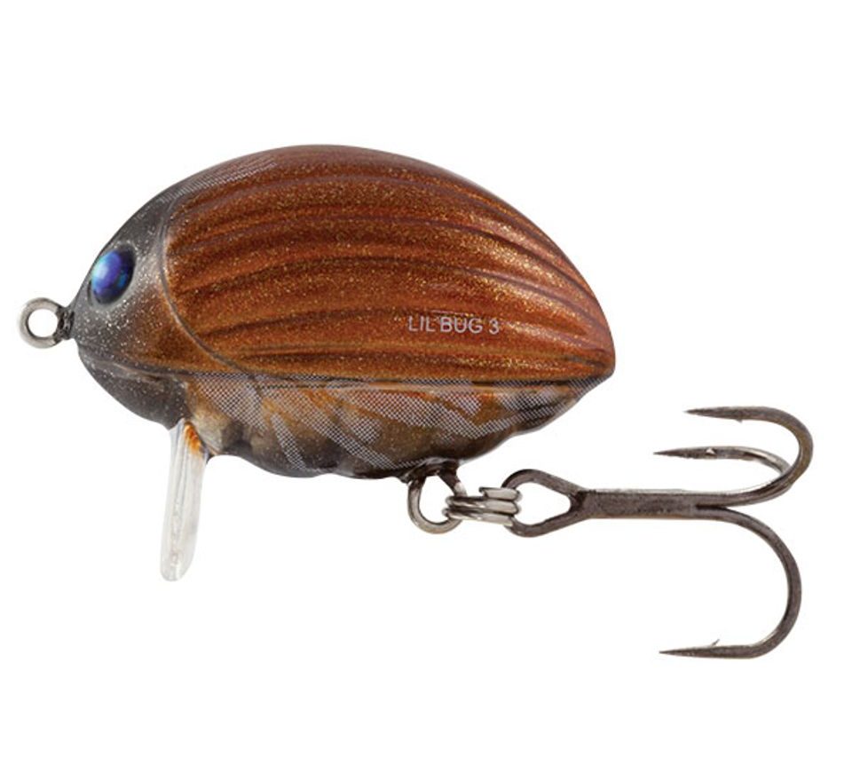 Salmo Wobler Lil' Bug Floating 3cm