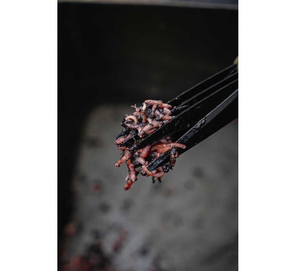 Avid Nůžky na žížaly Worm Chopperz