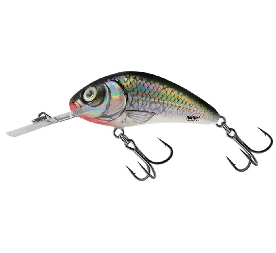 Salmo Wobler Rattlin Hornet Floating 6,5cm