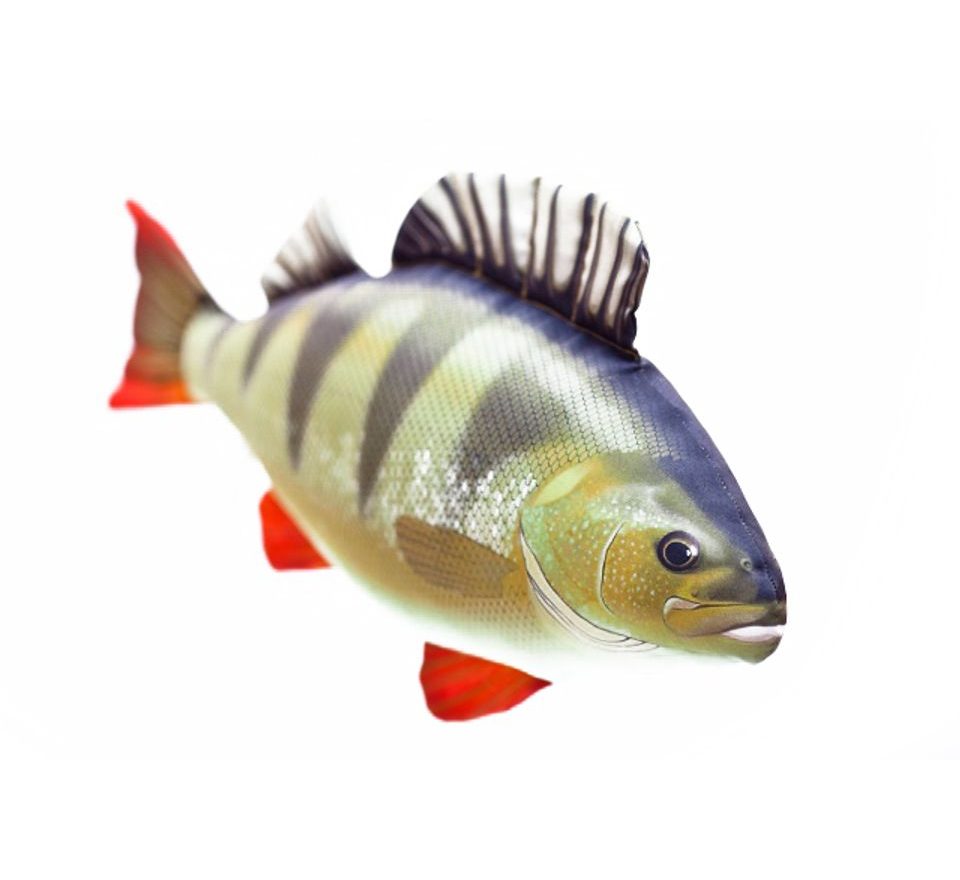 Gaby Vankúš Ostriež riečny 50 cm