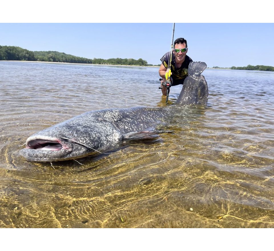 Black Cat Prút Perfect Passion Allstar Cast 2,2m 130g