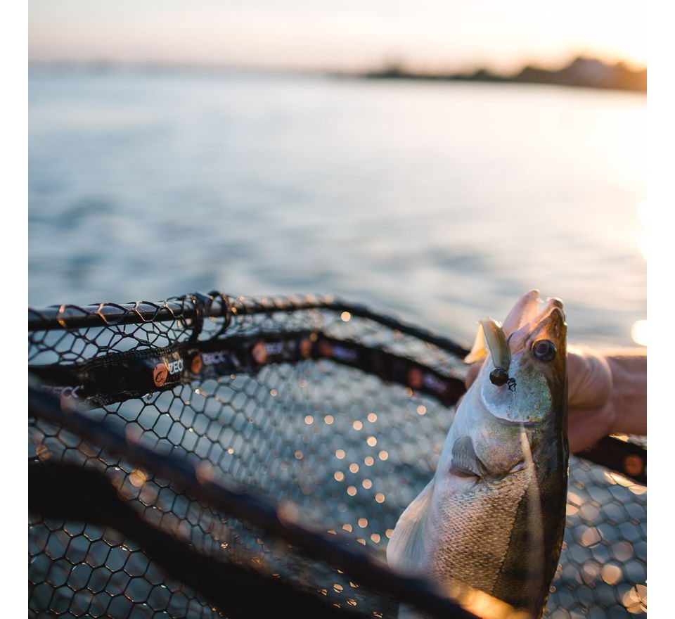 Zeck Prívlačový podberák Folding Rubber Net M