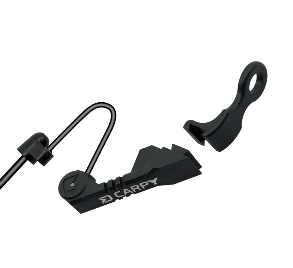 Delphin Swinger s ramínkem Carpy